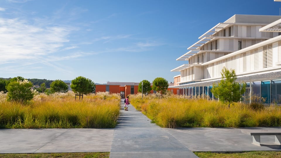 Un edificio moderno con un camino bordeado de pastos altos y árboles.