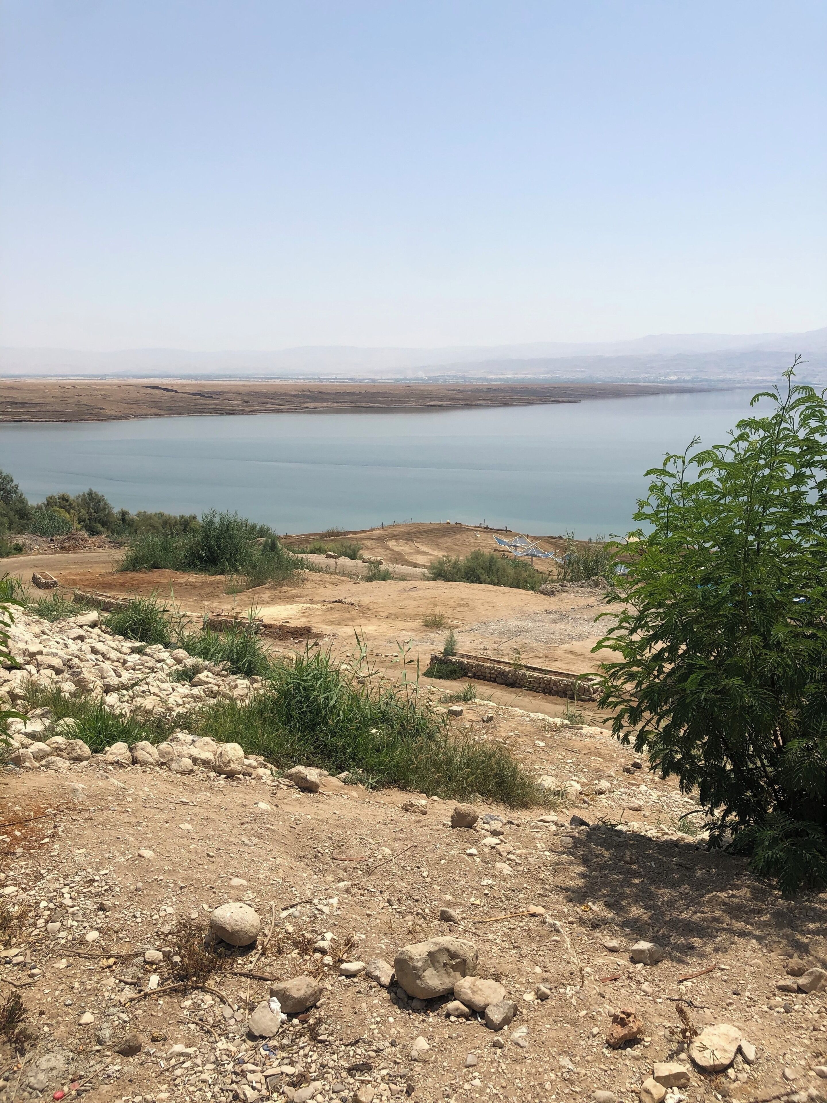 The Dead Sea
