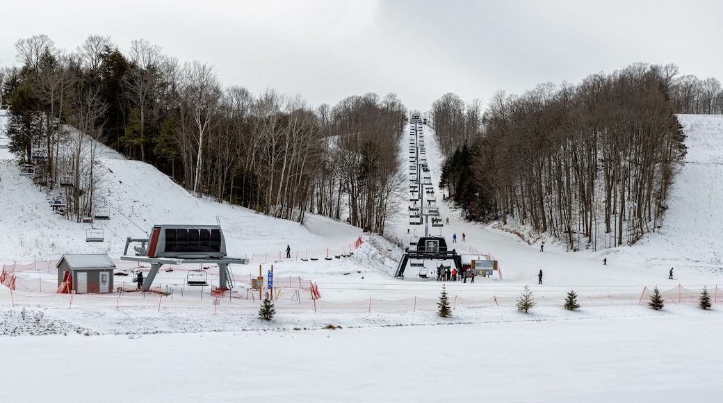 Área de esquí Ski Bradford