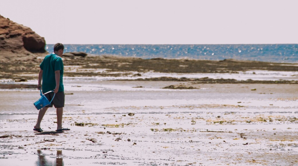 #BeachBound clamming it up in PEI