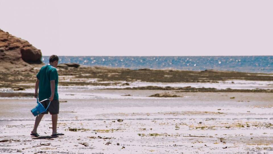 A person walking on a rocky beach with waves in the background.