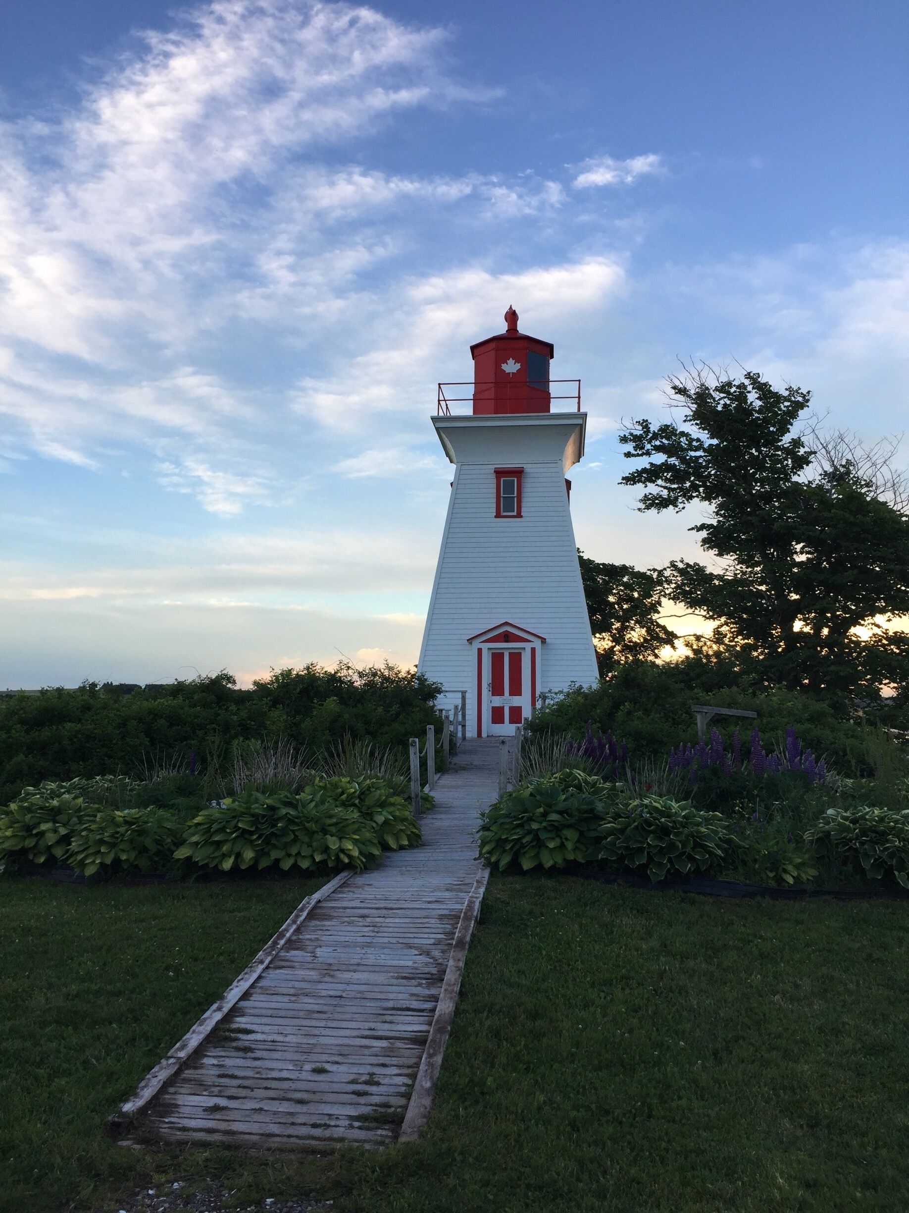  Victoria by the sea at sunset 