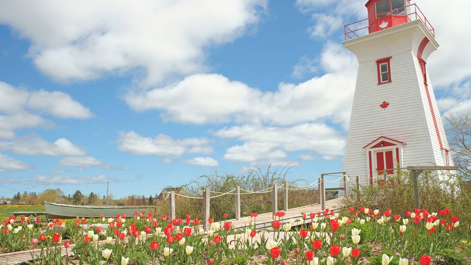 A lighthouse, a wooden dock, and a field of tulips.