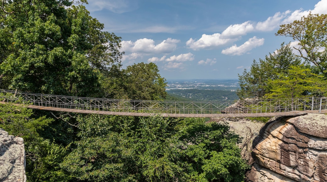 Swing Bridge Over Small Canyon