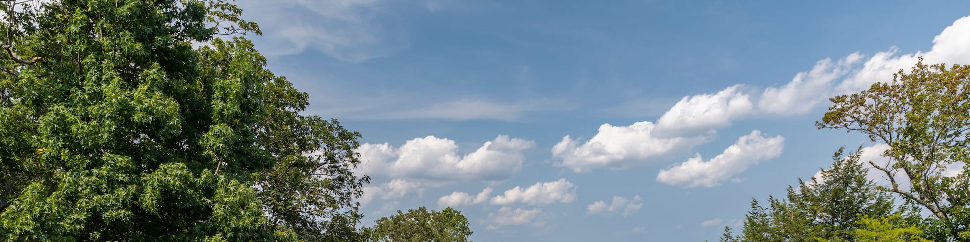 Swing Bridge Over Small Canyon