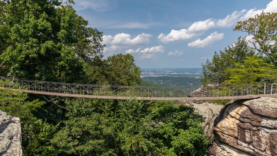 Swing Bridge Over Small Canyon