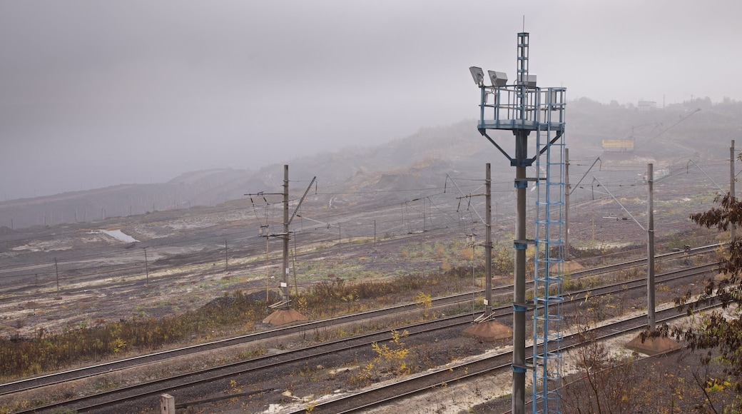 ์ ค๋ ์ฆ๋
ธ๊ณ ๋ฅด์คํฌ