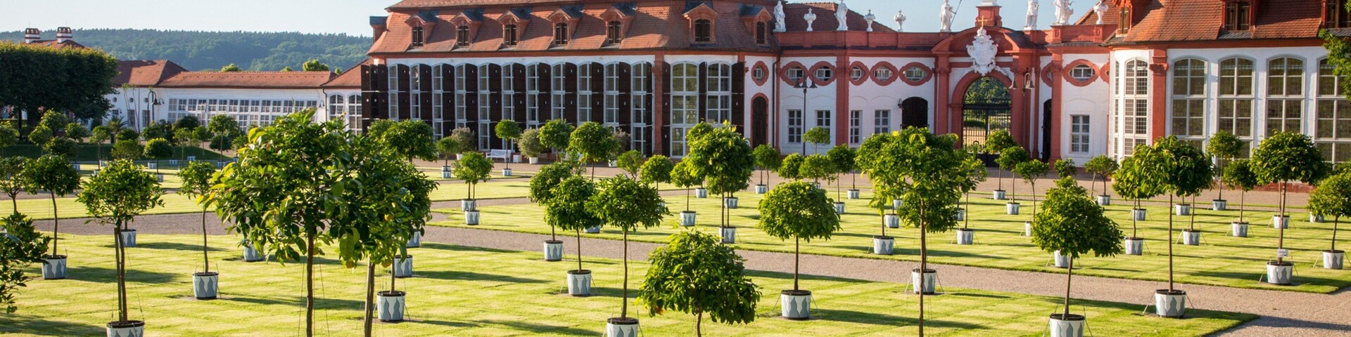 Seehof Palace which includes a garden