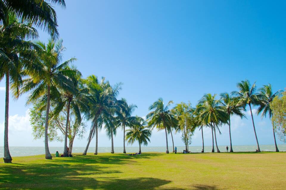 A beach with palm trees and a clear blue sky.