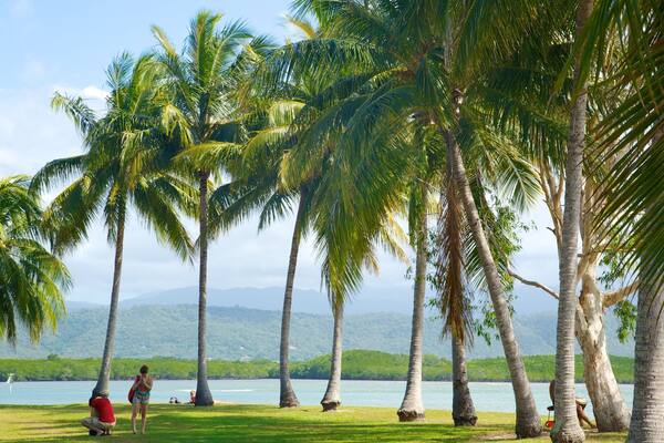 Anzac Park which includes general coastal views and tropical scenes