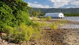 Un paysage côtier avec un bâtiment blanc sur pilotis, entouré d’une végétation luxuriante et de palmiers.