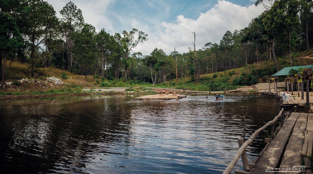 There are many attractions very close to the dusty, crowded and noisy city of PhnomPenh in Cambodia . Kirirom (Mountain of joy) NationalPark is one among them, a nice day trip about 100 km from the city , depending on traffic, should be a 2.5 to 3 hours drive. And specially interesting is the Chambok Ecotourism site.
Located in the Kampong Speu Province , this beautiful landscape was a visual treat. I could witness the whole scene change right before my eyes as the climb towards the Mountains started. This mountain had varied colours of flora at different heights and is completely different to what you see elsewhere in the country.
If you are ever in this mountain / National Park, do not miss the opportunity to sit by a river or a #lake or a waterfall and experience the calm of the wilderness. There were tiny fish in the slow waters, kingfishers nearby waiting for their catch, the pine forests at a distance and loads of butterflies
You get to see carefree kids come in for a dip in this river just after lunch time and have the time of their life. What surprised me was their genuine happiness without those hi tech gadgets. The river was their joy and a few wooden planks assembled on top of 4 large / empty plastic cans was their joy ride in the river. Nothing seemed to stop them from being wild and happy!