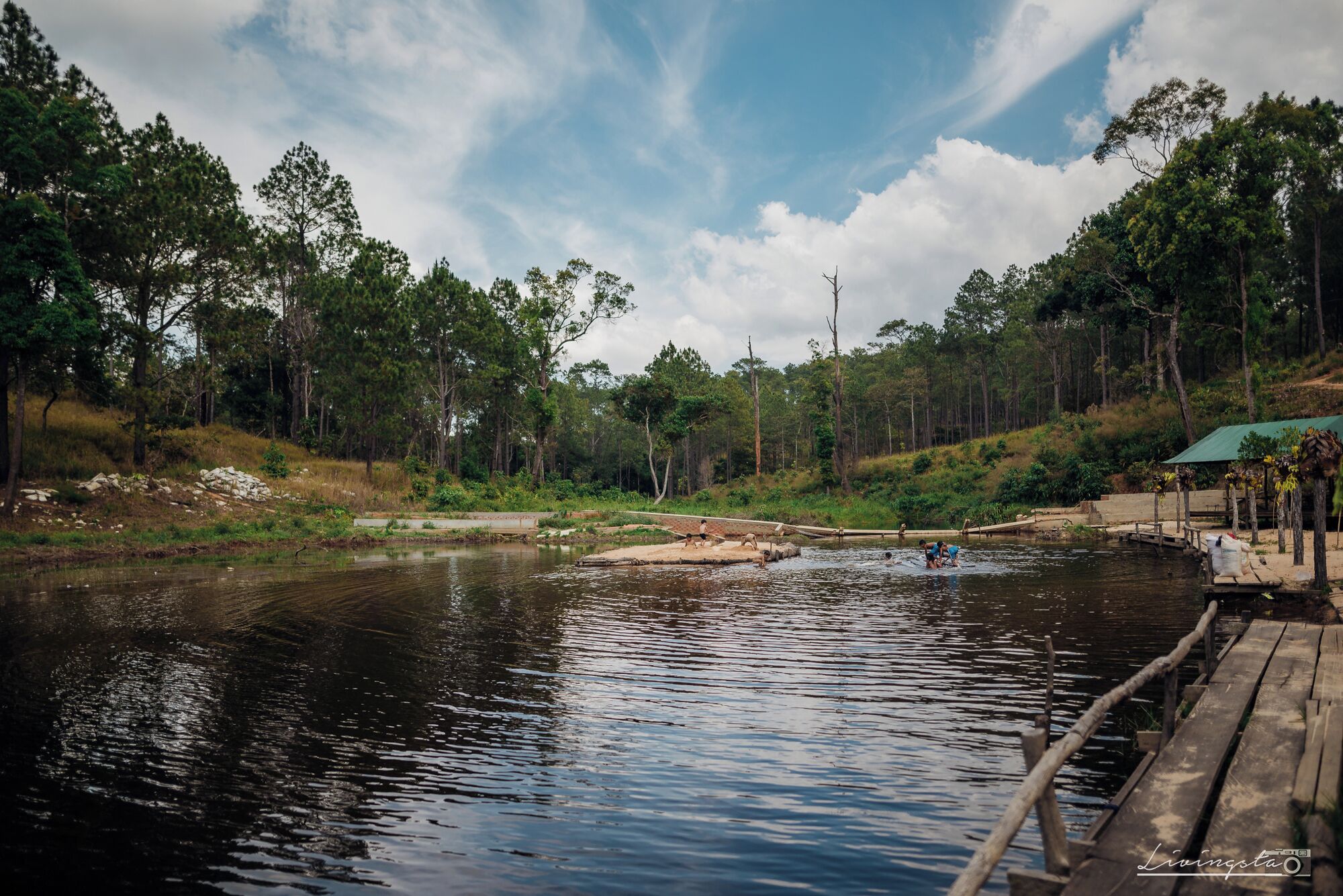 A calm river with a wooden dock, surrounded by dense forest and a clear sky.