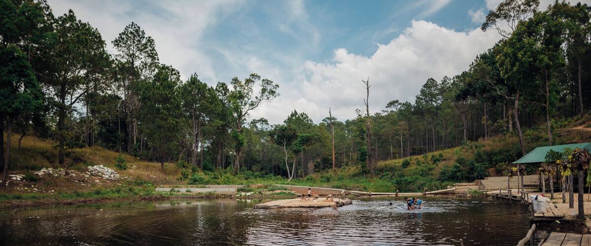 A calm river with a wooden dock, surrounded by dense forest and a clear sky.