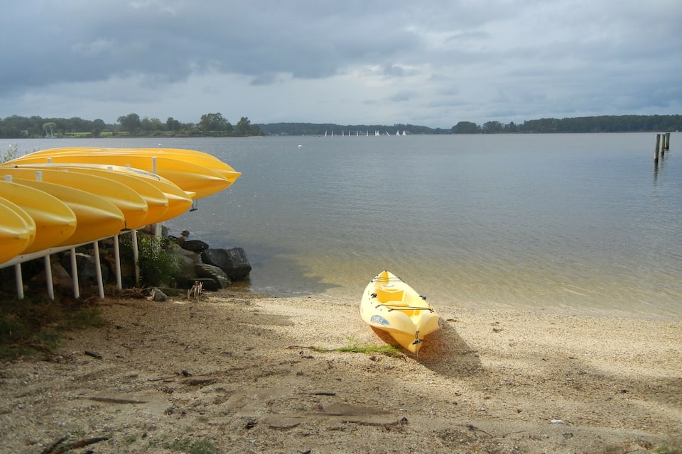 A sandy beach with a row of yellow kayaks and a single yellow kayak on the shore.