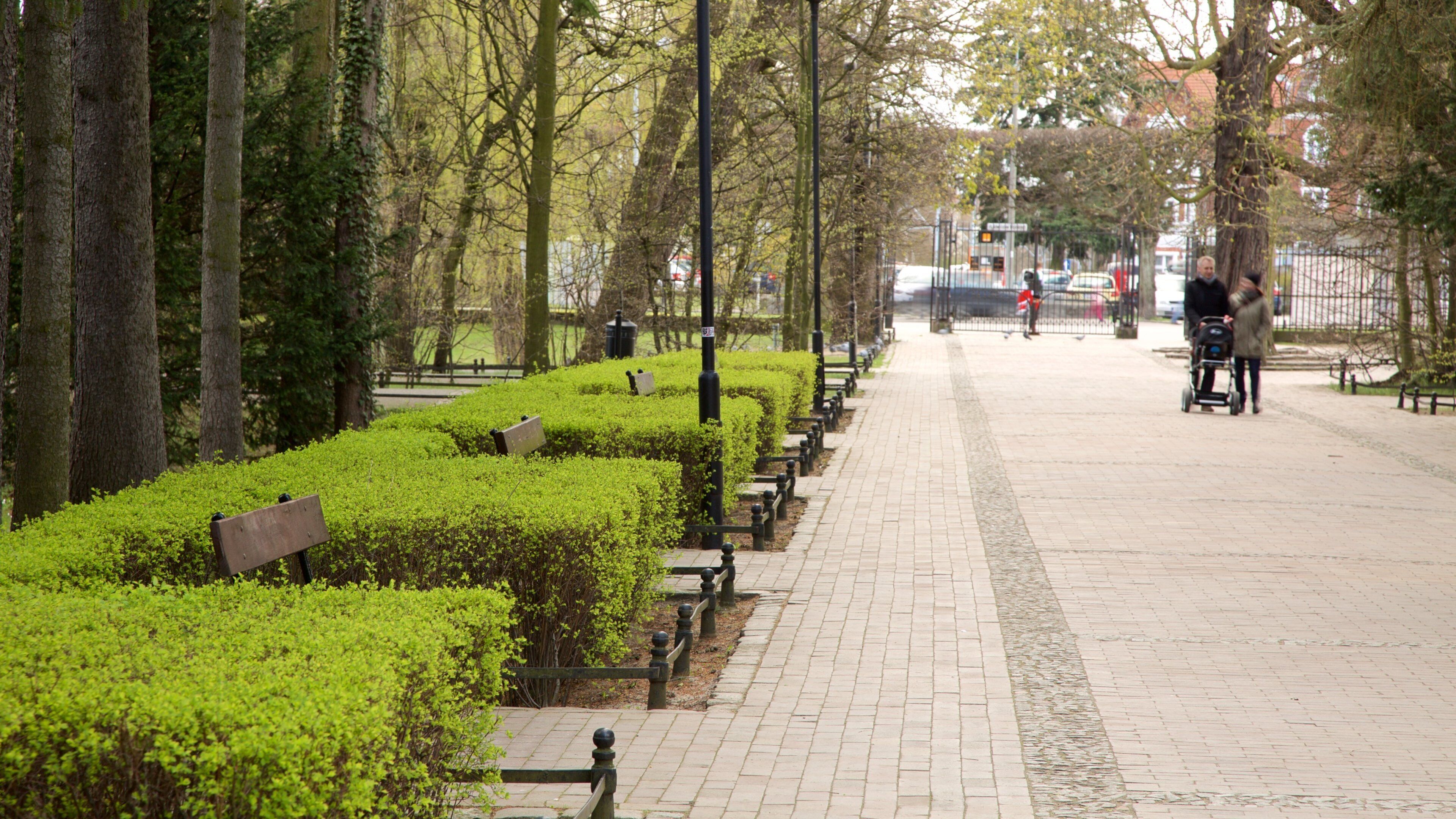 Oliwa Park som viser en park