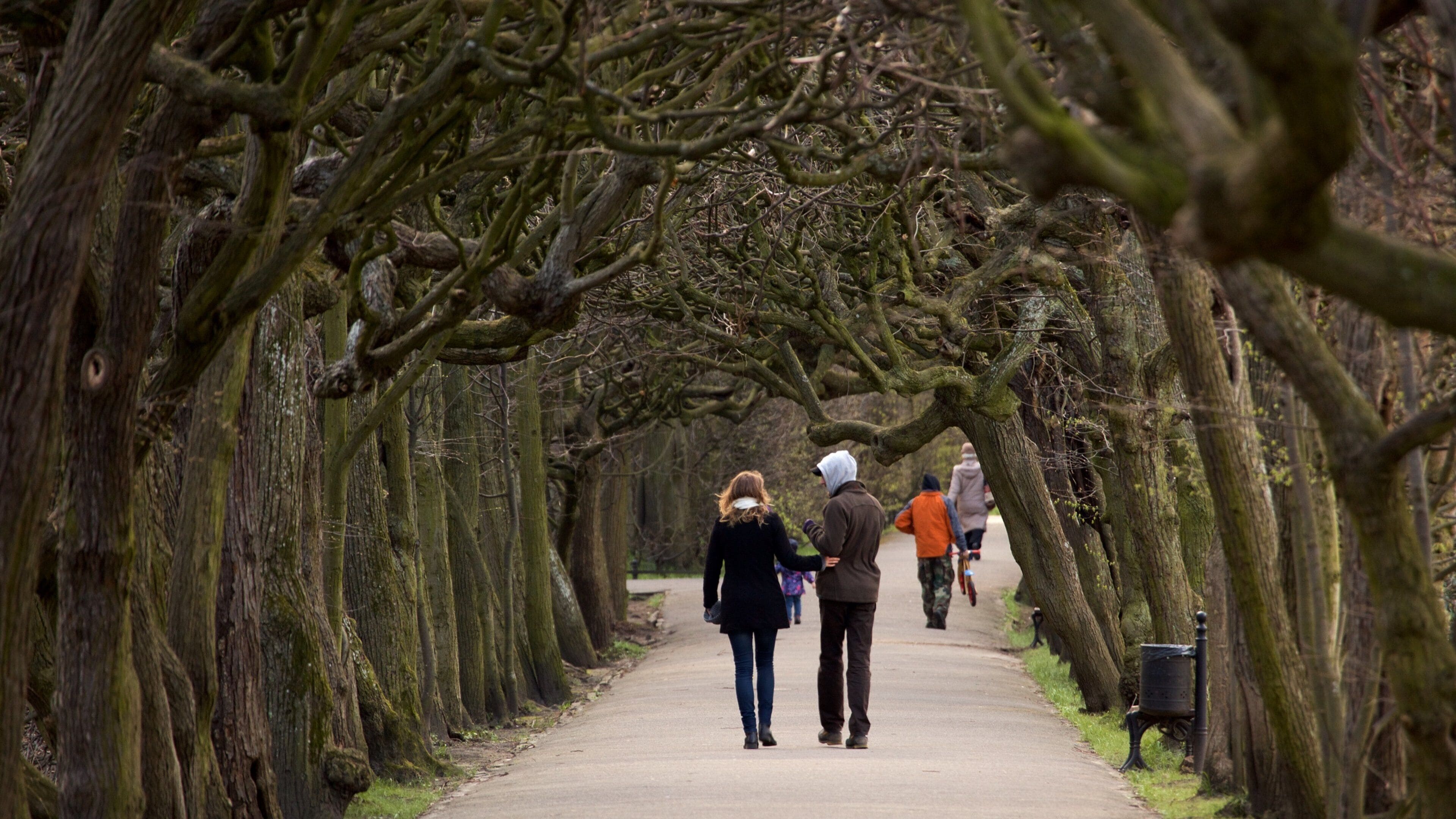 Oliwa Park showing a park as well as a couple