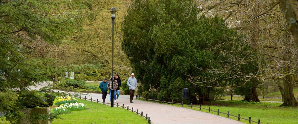 Park Oliwski mit einem Park