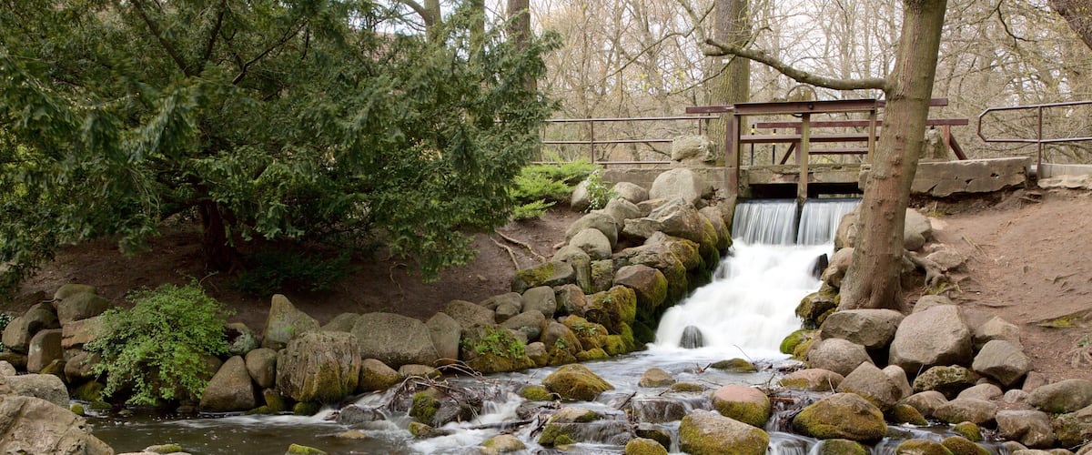 Parc Oliwa qui includes riviĂšre ou ruisseau
