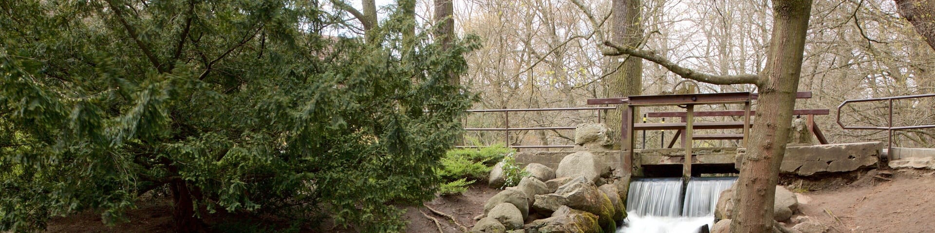 Oliwa Park which includes a river or creek