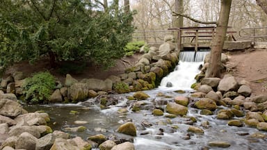 Parque Oliwa que incluye un río o arroyo