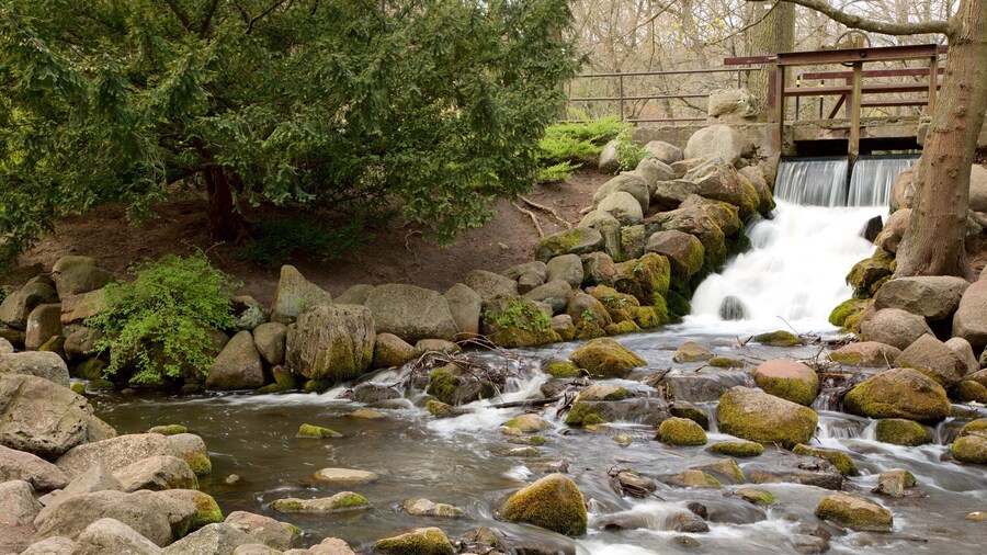 Oliwa Park featuring a garden and a river or creek