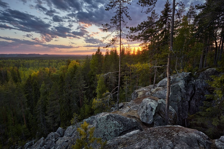 "Lynx Mountain", Karelia