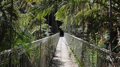 Everyone loves a swing bridge! This beautiful little national park in Victoria Australia is a little patch to excape reality with towering gums and fern glad gullies and the chance to spot a lyrebird in the wild!