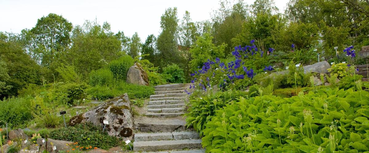 Polar-Alpine Botanical Gardens showing a garden and flowers