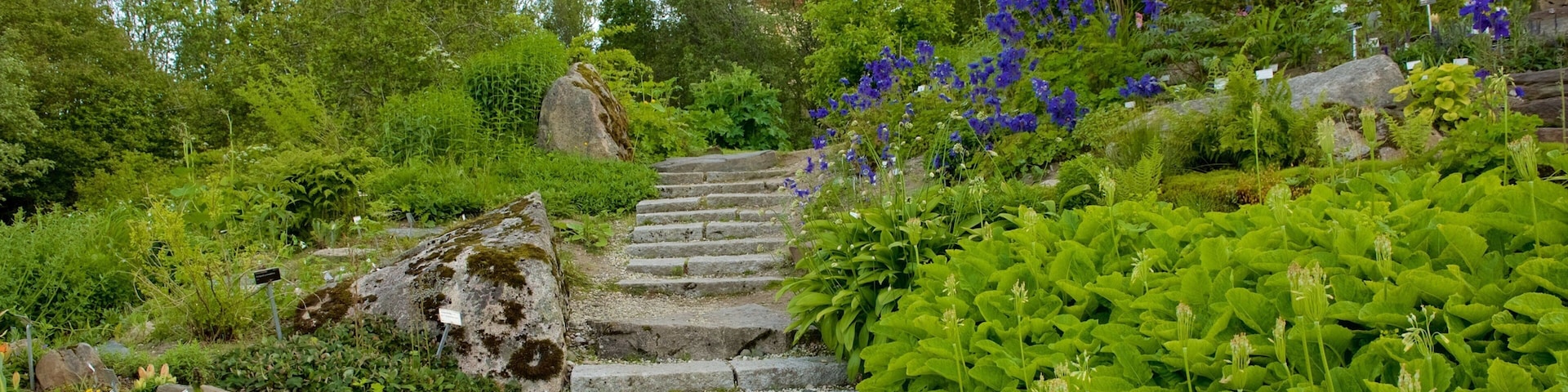 Polar-Alpine Botanical Gardens showing a garden and flowers