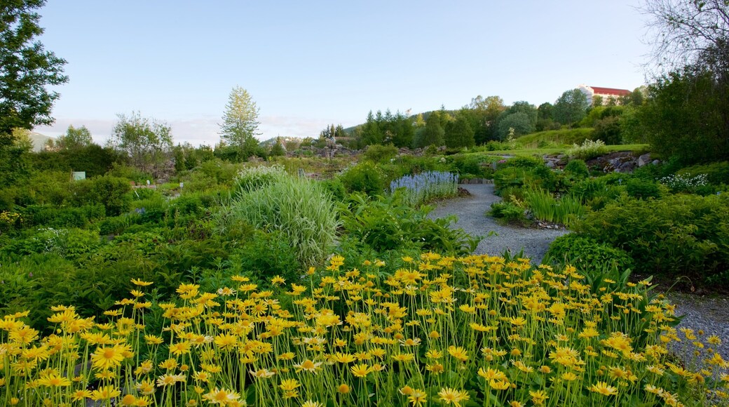 Polar-Alpine Botanical Gardens showing a garden and flowers