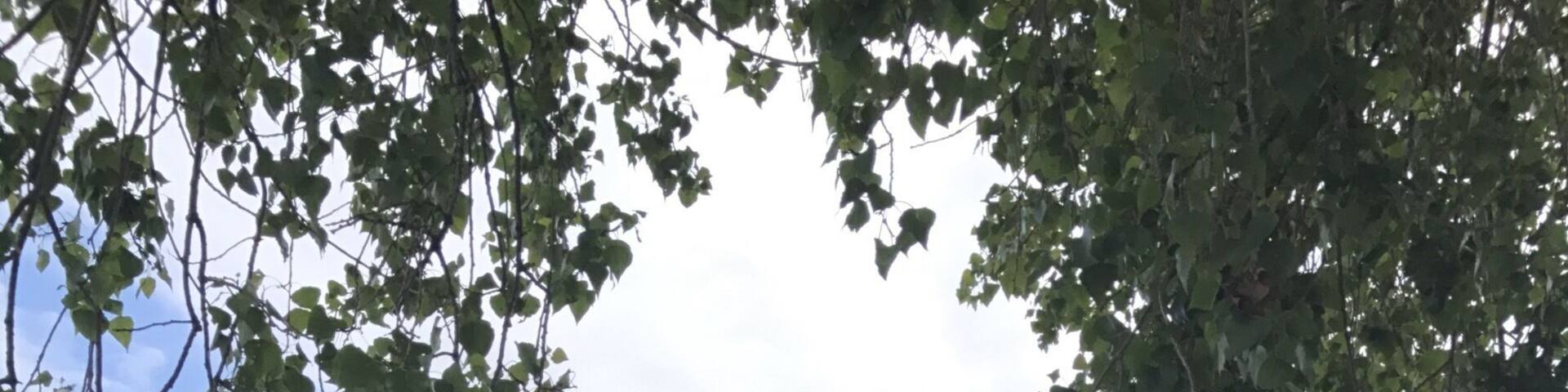 Ein netter Ort mit guter Bademöglichkeit.