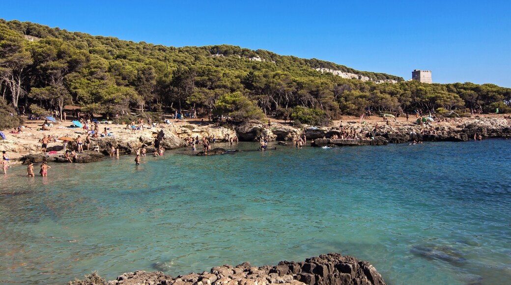 Porto Selvaggio and Palude del Capitano Regional Nature Park