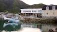 Edwin Fox Museum which includes a coastal town, mountains and aircraft