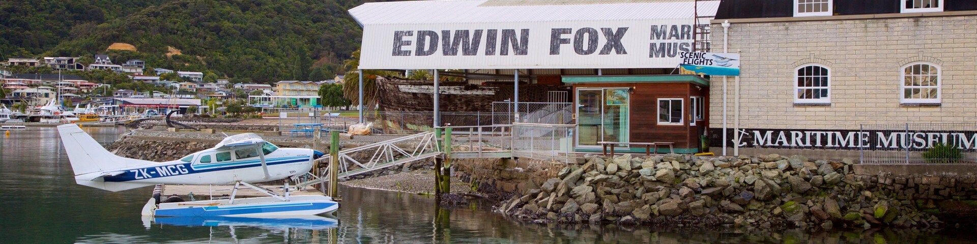 Museo Edwin Fox ofreciendo una ciudad costera, montañas y avión
