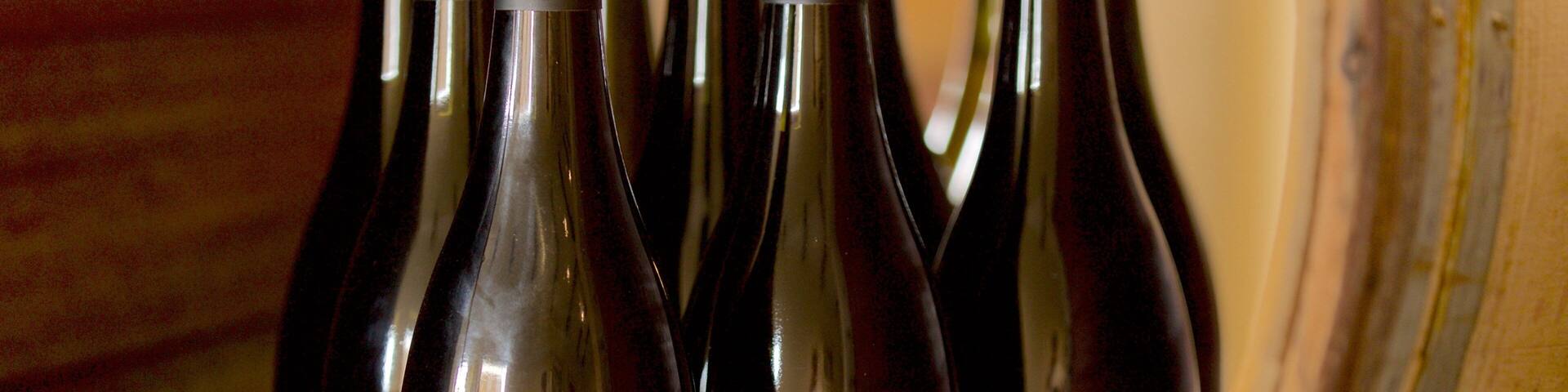 Several wine bottles with labels, including 'XADI DU' and 'GRACIANO 2013'.