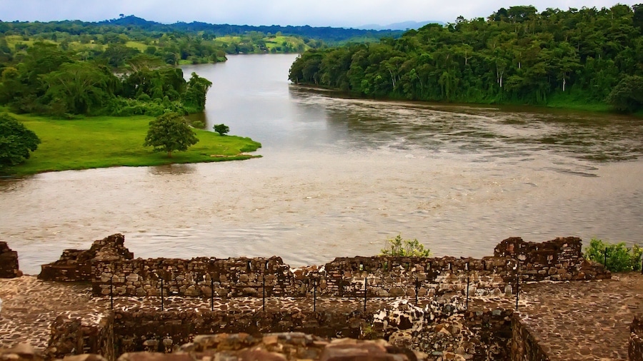 Rio San Juan showing a river or creek and forest scenes