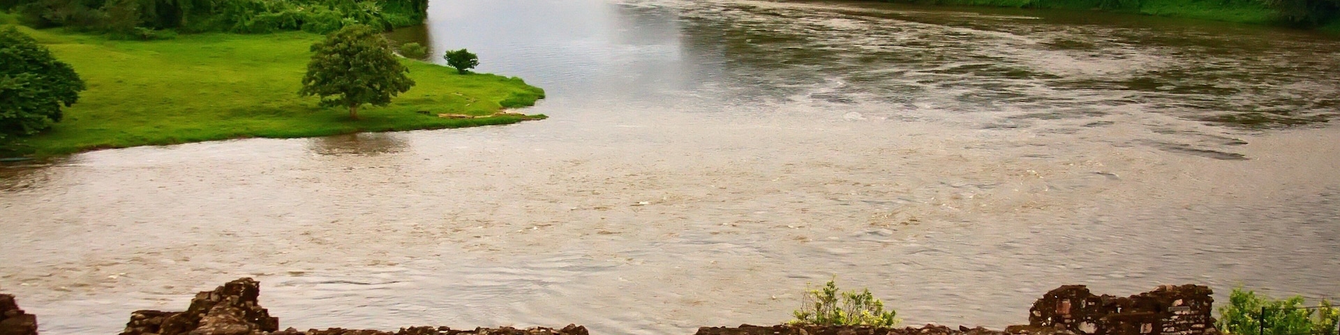 Rio San Juan which includes a river or creek and forest scenes