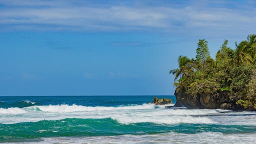 Untouched tropical beach in Bocas del Toro Panama