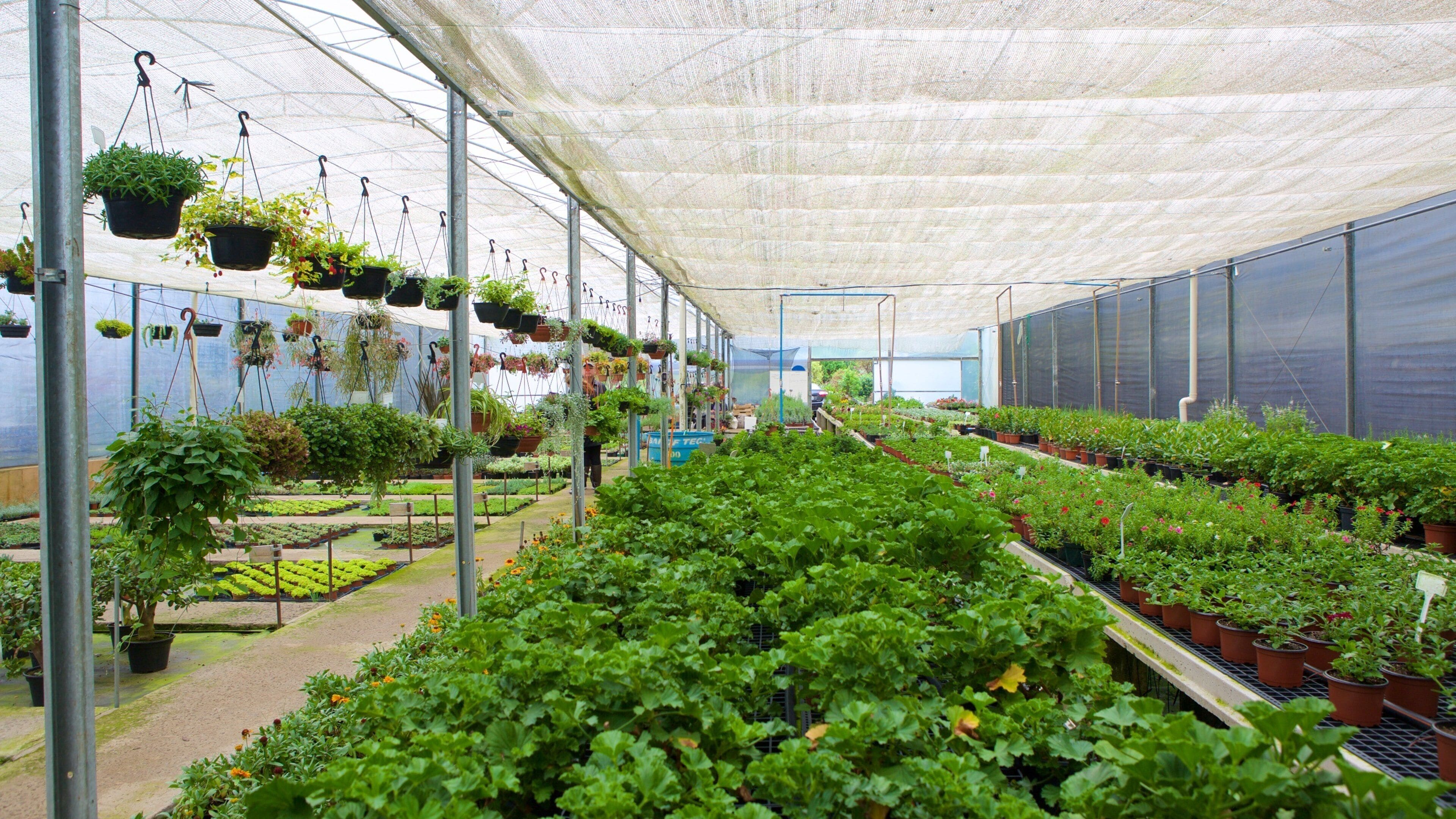 Parque Le Jardin Lavender que incluye vistas interiores