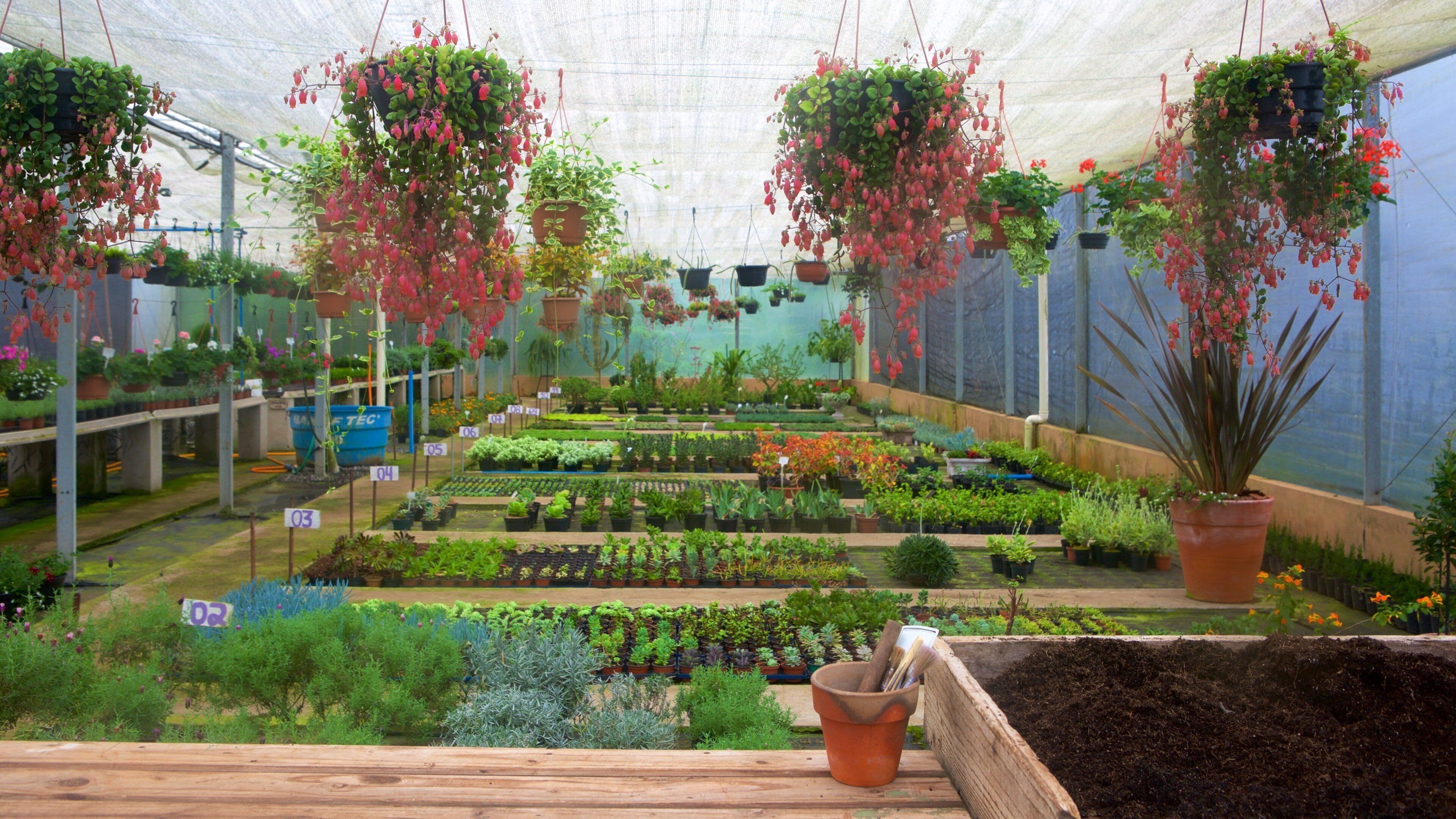 Le Jardin Parque de Lavanda que inclui vistas internas e flores