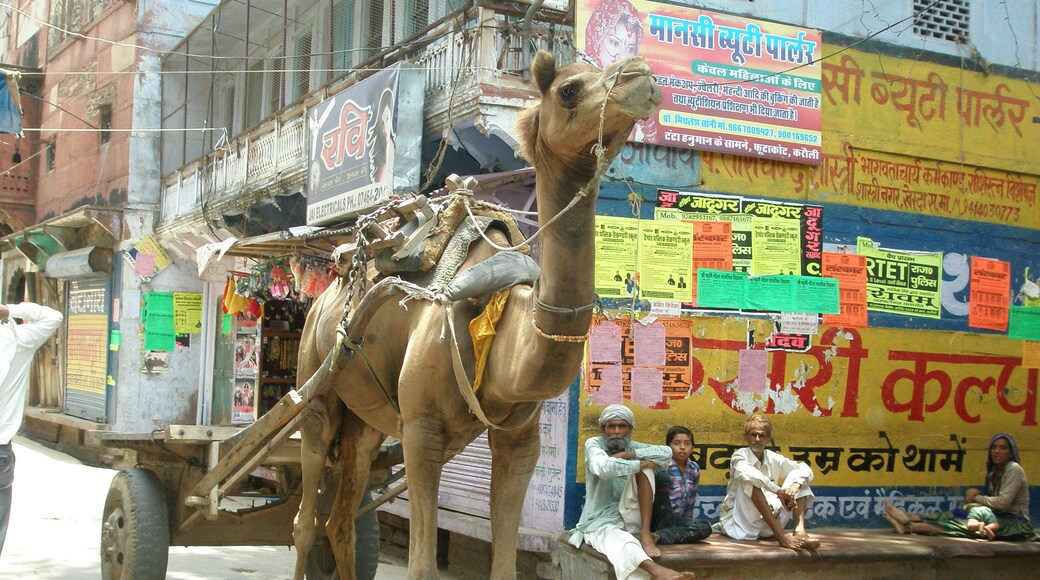 Every day life in Karauli