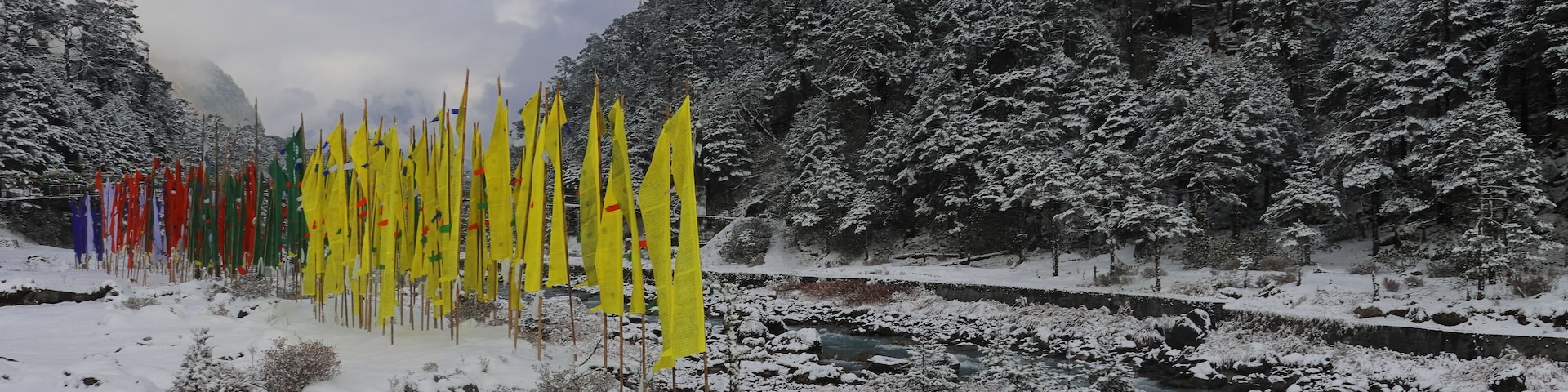 lachung chu river flowing through the snow covered yumthang valley, beautiful mountain valley located near lachung hill station in north sikkim, india