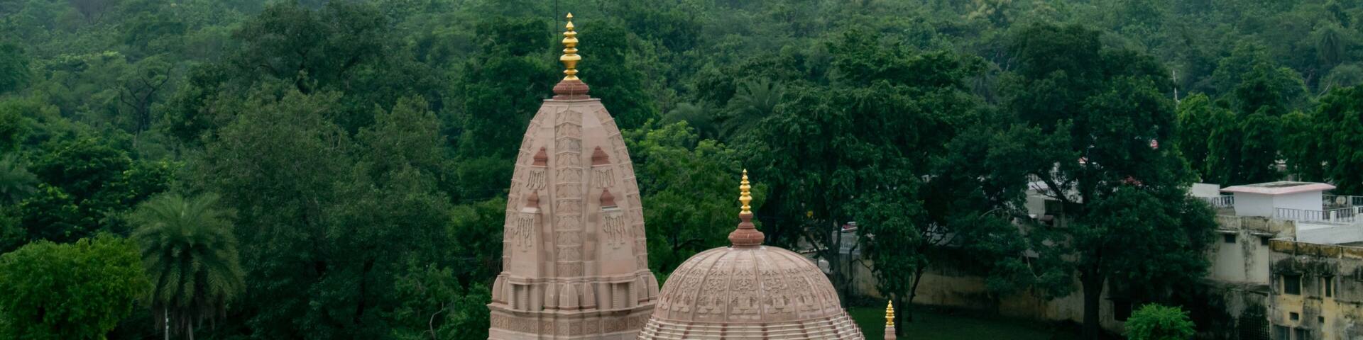 Aerial view of a serene temple with beautifully carved domes and golden spires, surrounded by lush green trees. The tranquil setting reflects spirituality and harmony with nature in hastinapur india.