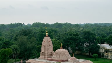Aerial view of a serene temple with beautifully carved domes and golden spires, surrounded by lush green trees. The tranquil setting reflects spirituality and harmony with nature in hastinapur india.