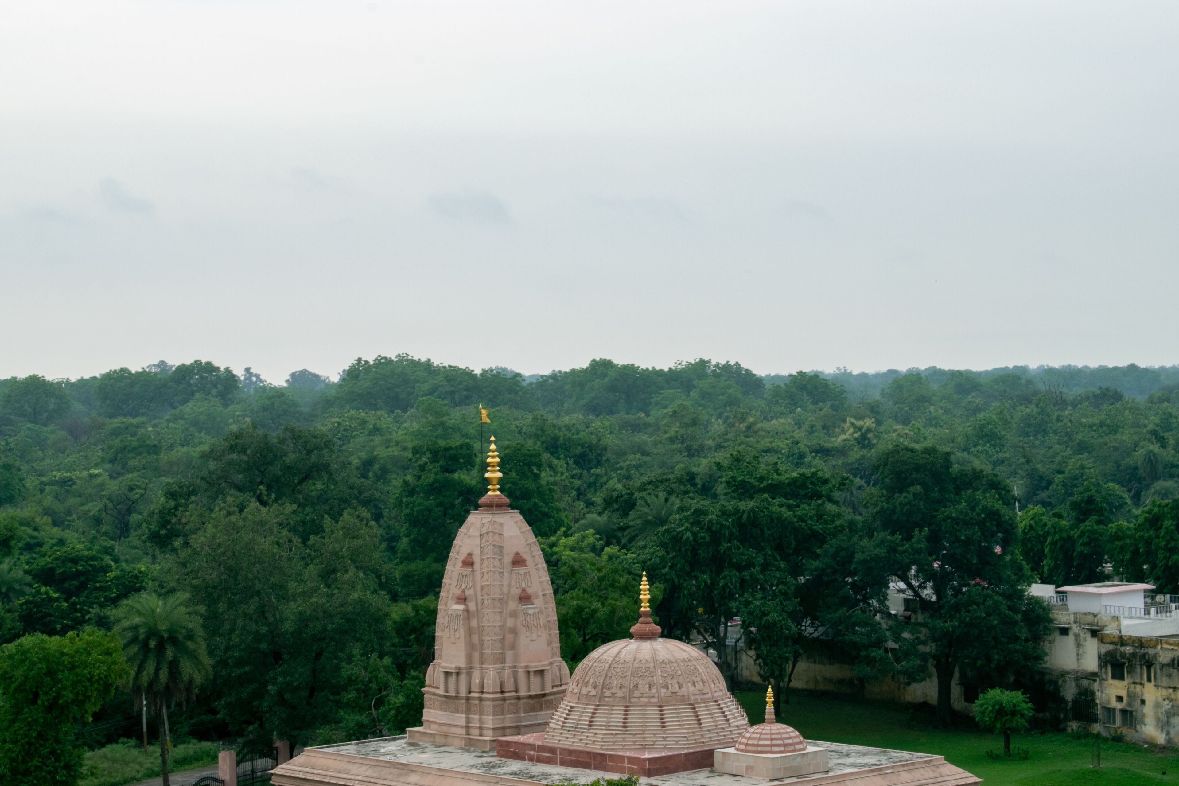 A temple with multiple domes and spires surrounded by dense forest.