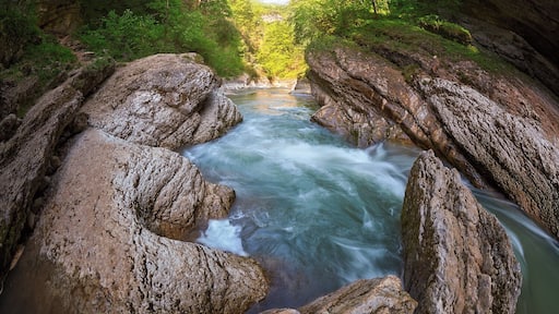 "Mother-bear of Guam Gorge"
Do you see her?