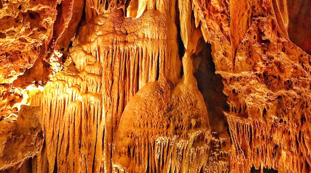 Located between St Louis and Springfield, Missouri, Meramec Caverns has some extraordinary cave formations. There are 4.6 miles of caverns tucked away in the Ozark Mountains. Artifacts from Pre- Colombian Native American Indians have been found in the caverns and it is ruptured that outlaw Jessie James used them as a hideout. Also Union troops camped out inside the huge opening at the beginning of the caverns
#Golden