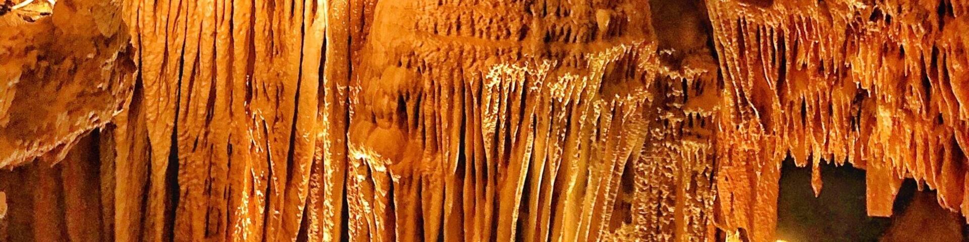 Located between St Louis and Springfield, Missouri, Meramec Caverns has some extraordinary cave formations. There are 4.6 miles of caverns tucked away in the Ozark Mountains. Artifacts from Pre- Colombian Native American Indians have been found in the caverns and it is ruptured that outlaw Jessie James used them as a hideout. Also Union troops camped out inside the huge opening at the beginning of the caverns
#Golden