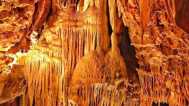 Located between St Louis and Springfield, Missouri, Meramec Caverns has some extraordinary cave formations. There are 4.6 miles of caverns tucked away in the Ozark Mountains. Artifacts from Pre- Colombian Native American Indians have been found in the caverns and it is ruptured that outlaw Jessie James used them as a hideout. Also Union troops camped out inside the huge opening at the beginning of the caverns
#Golden